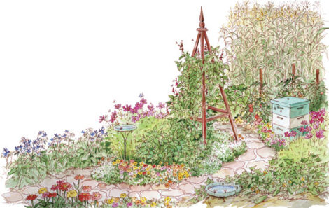 Plant Pollination Primer for Backyard Gardeners Image